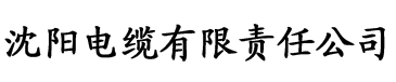 东北大坑第二部后续电缆厂logo